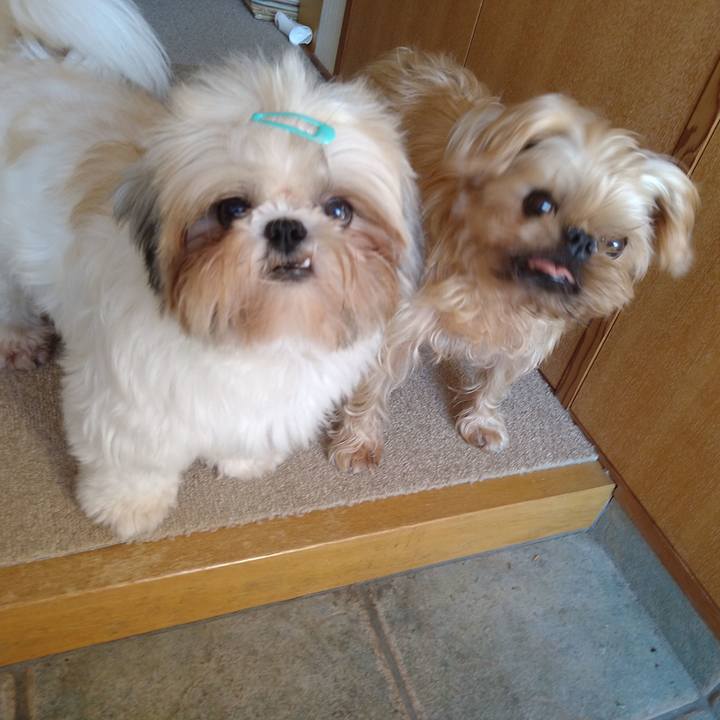 66dd7a96 4b07 4b19 a917 66df163238cf 1607390657744