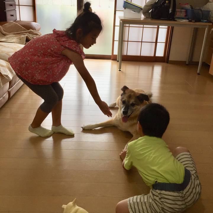 66dda0de 4139 4910 94e5 4dbd4f1d8c02 1565917959998