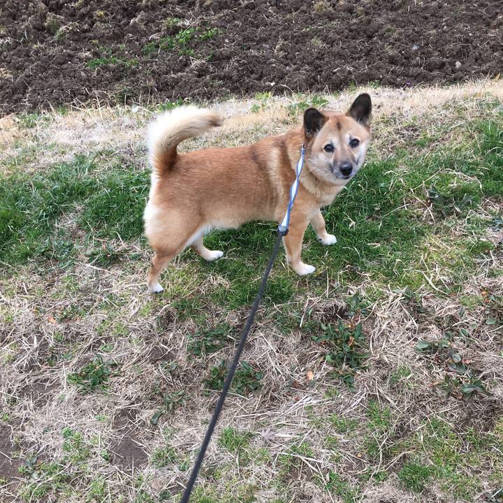 66ddcb61 baa8 45f9 8170 a9e0c766535a 1520058656278