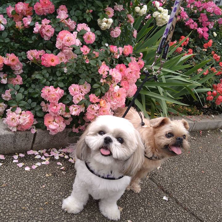 66de1636 627c 498e 9640 f74db7b7e65c 1653116105107