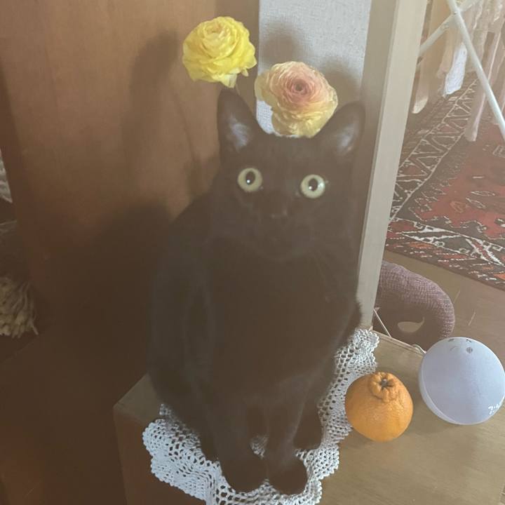 66de2df0 70b0 48be b732 fda6997848b6 1679539417353