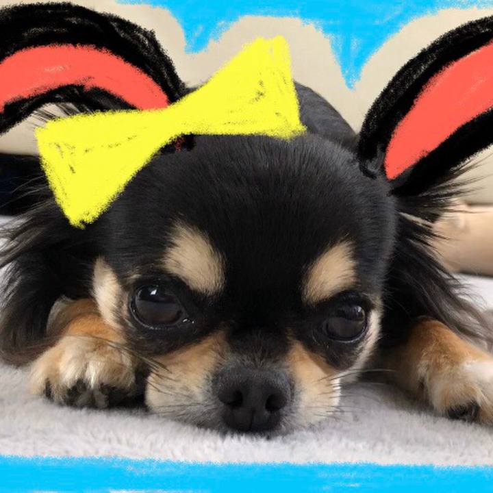 66de31c3 993a 42af b19b 172cfba68baa 1586323432999