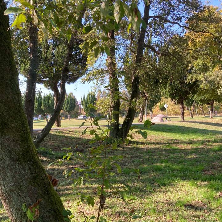 66de55ea e8d5 4414 9b10 e0267df86266 1668754852946