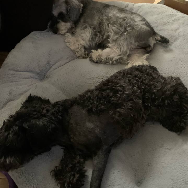 66deaa8e 616c 4346 8fff 989a1bf27591 1661487506674