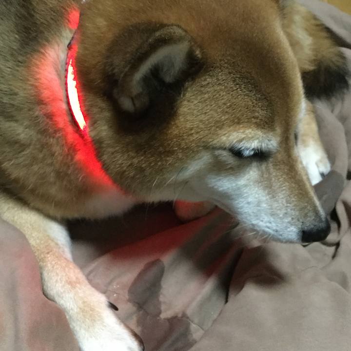 66decbc9 8983 443c 9c64 b6b324a6fdde 1573288939956