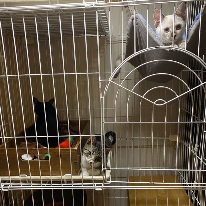 66ded540 1bee 4728 a068 7658917b5a4d 1630317105387