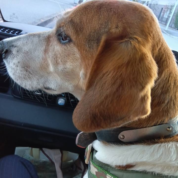 66dedd21 b60f 4d86 9e10 6e5639f76c6e 1731055301840