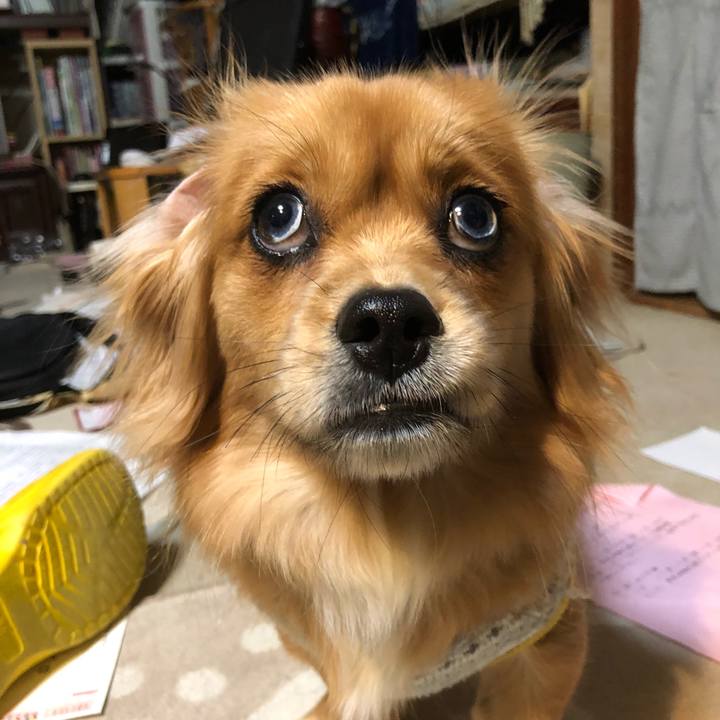 66dee564 e2dd 4bbf aa05 f23d308c2b8f 1513806159497