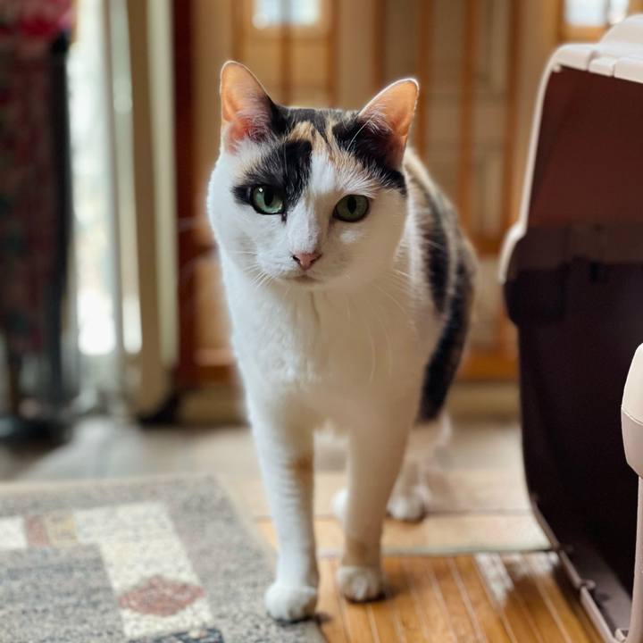 66df11a0 52ac 4eba 9ad5 025d3d08aac2 1656212673540