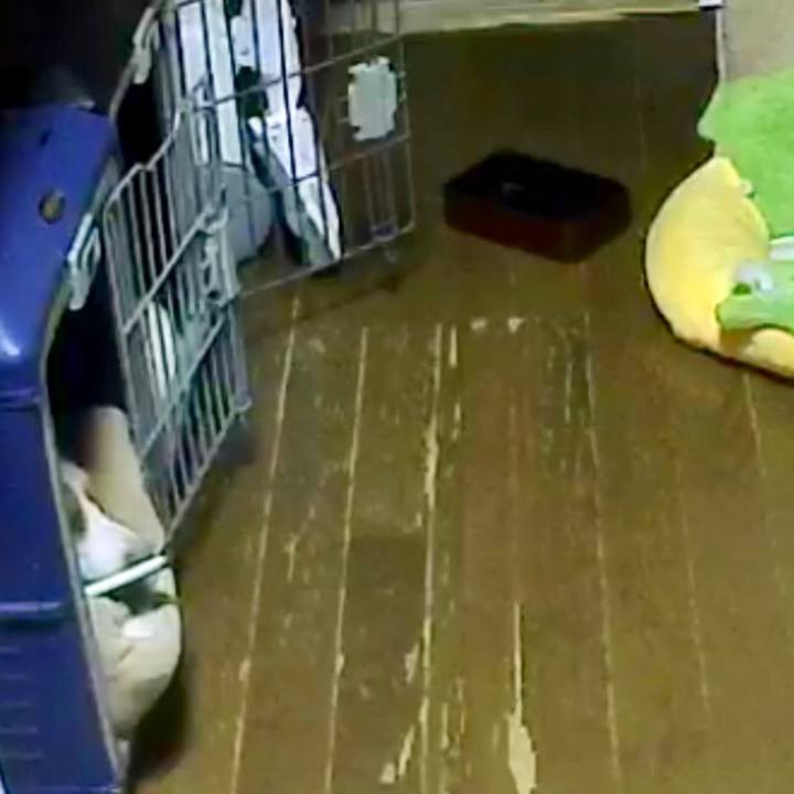 66df5548 b3c7 4724 9a1f f2052c5f3c99 1530099263601