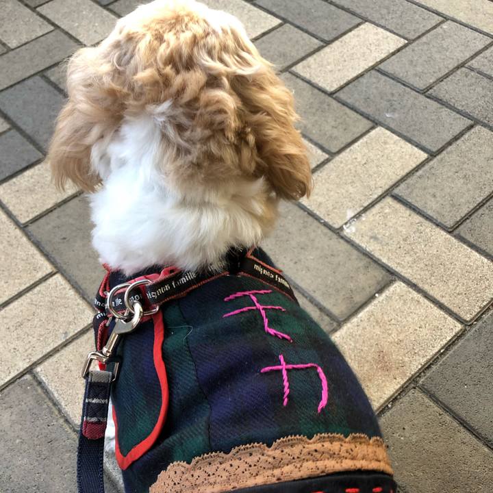 66df77e1 aec2 4c74 8d18 4a4ecd95cbc3 1604094778819