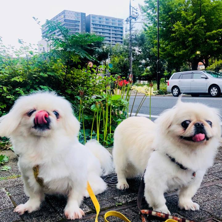 66df9b9c 8865 4752 8931 c6b2439723ef 1600898599351