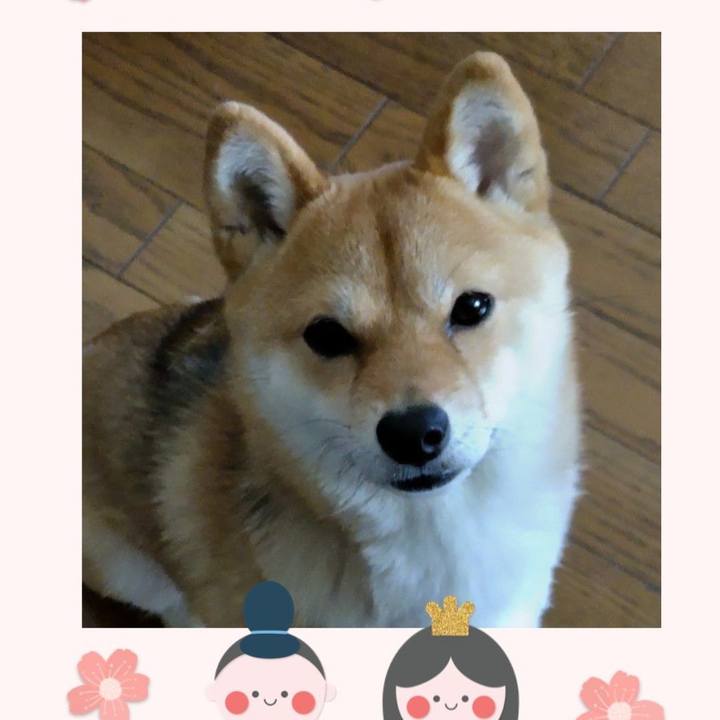 66df9d6a df7d 4ea7 9096 242e9097cedf 1646285918386