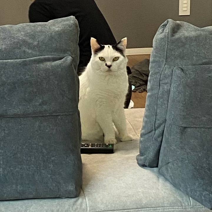 66dfc96c 7f89 4ea9 9cfd 1c13a5645b5b 1761687512827