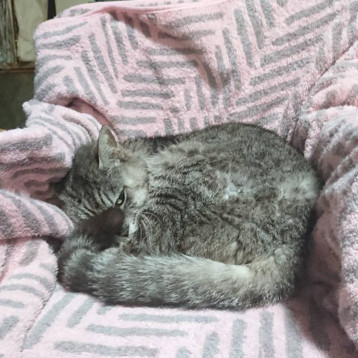 66dff266 fa9a 4078 8be2 7f45d6aa98d0 1589839027320