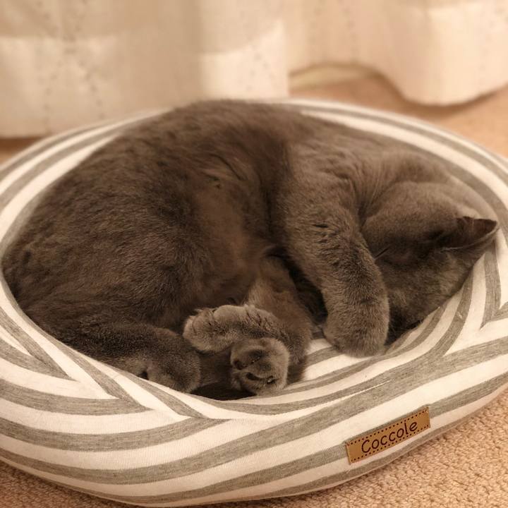 66dff707 2f92 41d0 8b47 2f4560ac70ee 1512826945196