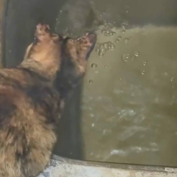 66e02a62 1c5c 4cb5 831d 99e69d24f629 1768073929837