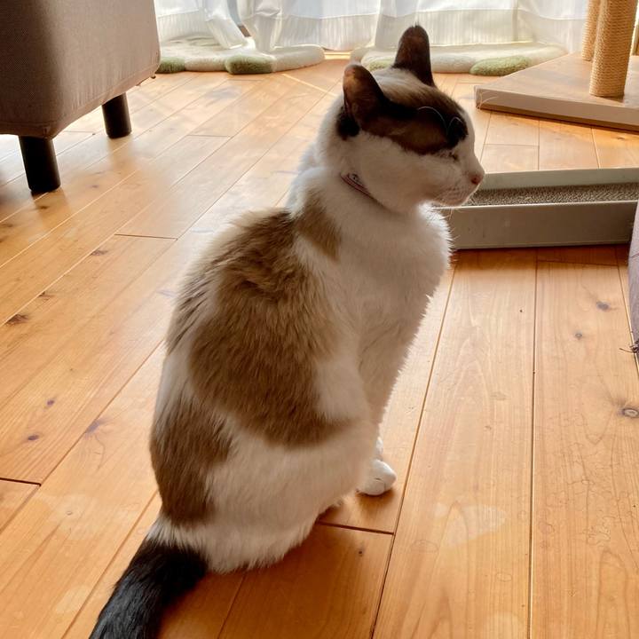 66e02cde 211e 454d 8fa0 1916e4d2c98c 1675821126832