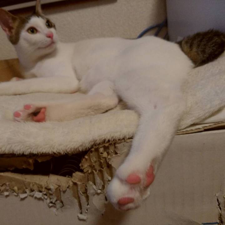 66e05a3b 6285 470d 835f 8ad37fc25957 1662983653130