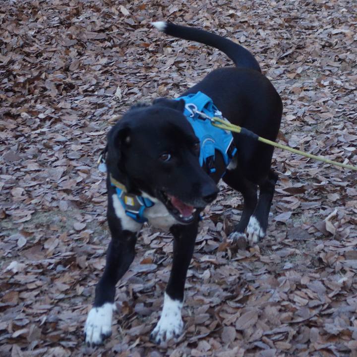 66e06190 43f8 4e87 9227 09f16157c774 1608249206860