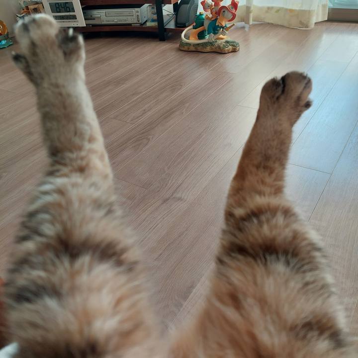 66e07aa7 af9e 4833 884a 30509d532e55 1767138533567