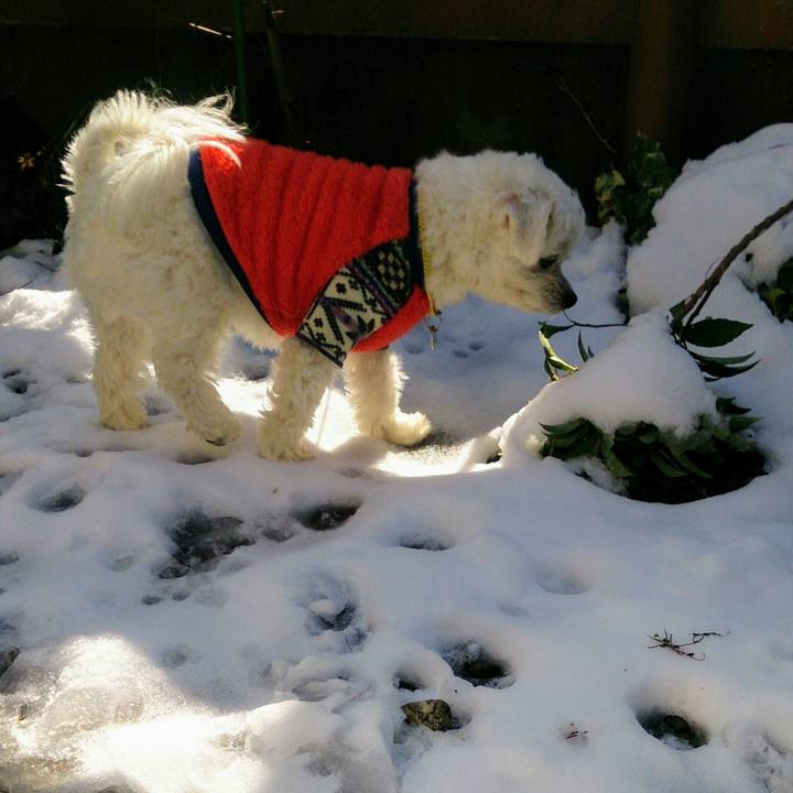 66e0923f 1c54 425e 8387 cf76d2123528 1516678647526