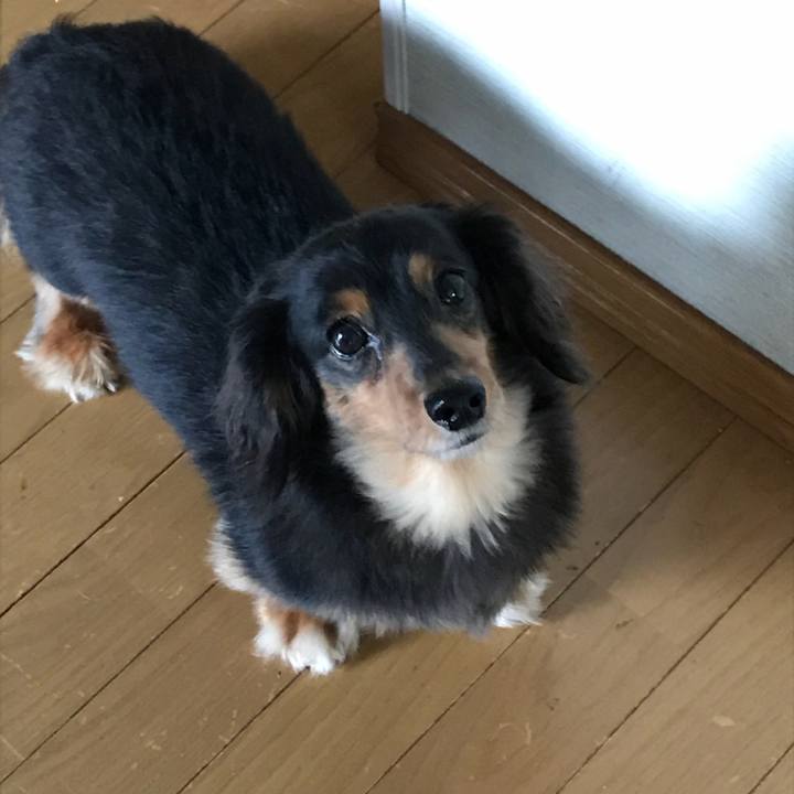 66e0a29e 812a 4c2e a865 675ce1e18c1f 1530829168784