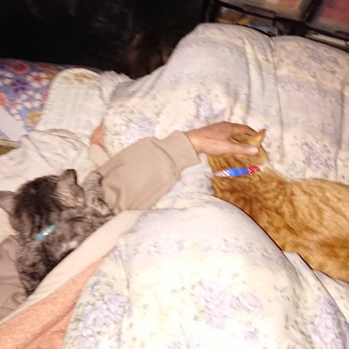 66e0cfcd 681f 4ab9 aa39 960be8030c99 1576607702629