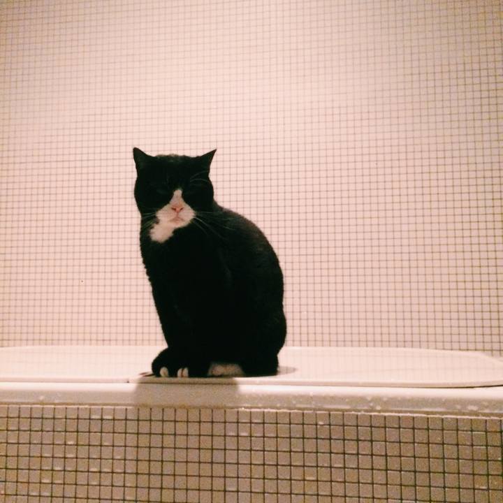 66e0de65 1ca4 4dd9 be6c b915160b6570 1575038990763