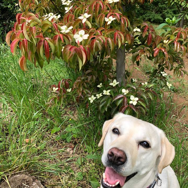 66e11ce6 6361 45a1 a10a 7917f894e066 1591617032577