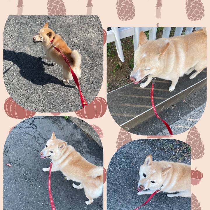 66e131fd a071 4354 a162 fb94a824436b 1697796673041