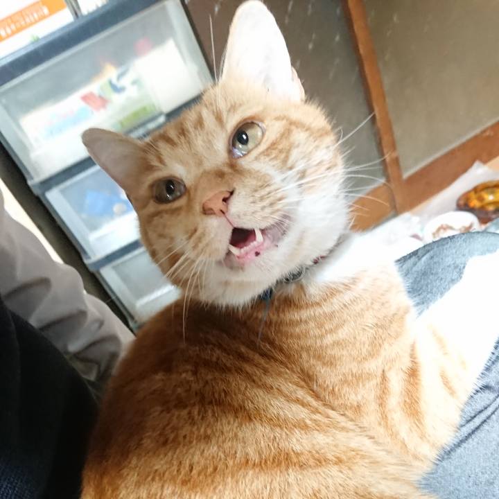 66e168b0 e4d7 4188 b0f0 07cac06576b3 1605000297024