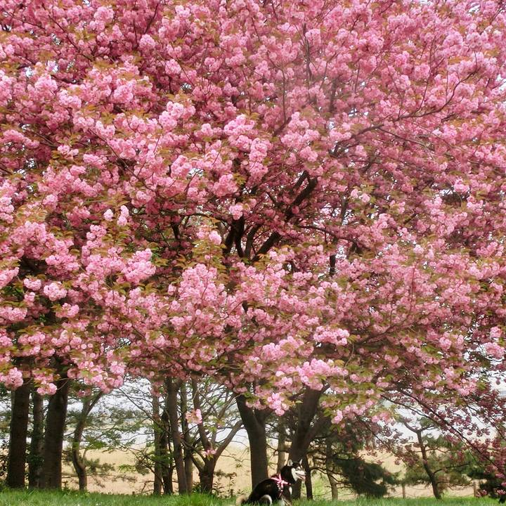 66e1705d acfc 4fe2 a68d 46f2c7714bac 1525072734594