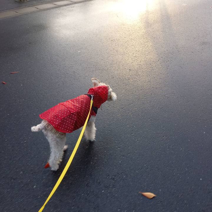 66e199e4 9392 46ca 8a47 124455ab29bf 1636671218387