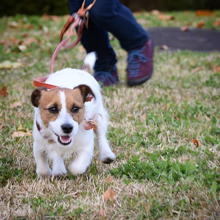 66e1bf0d 1c09 4775 8a6a cf0758b93e9c 1510574545362