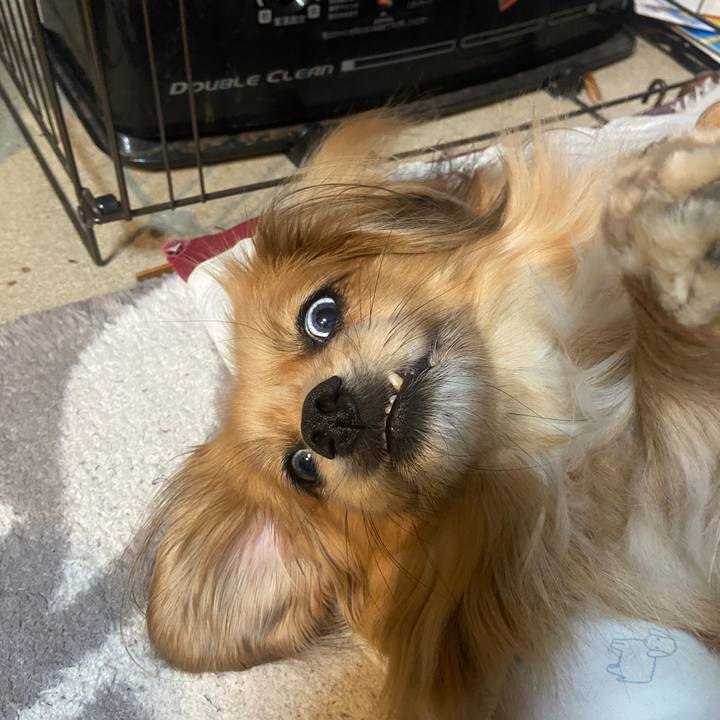 66e21a87 2f19 4bc8 add6 ce7a0110e3fd 1640123536507