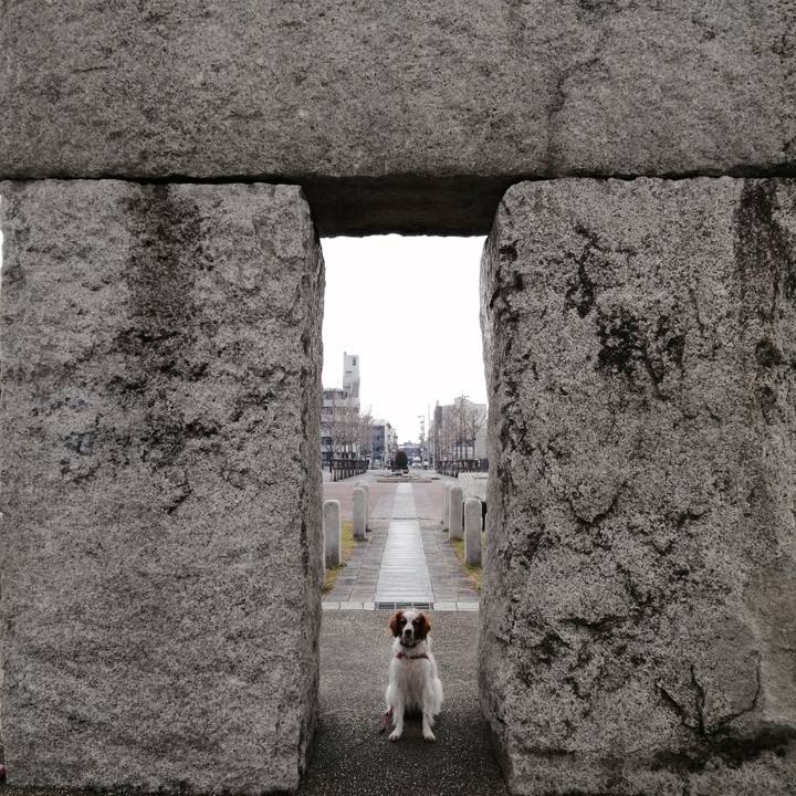 66e22949 6831 4172 8262 10edee063e1b 1610438343186