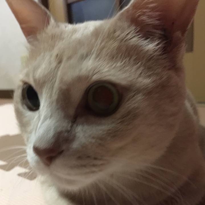 66e2b578 71cc 456a 91b1 aec565847565 1570866318658