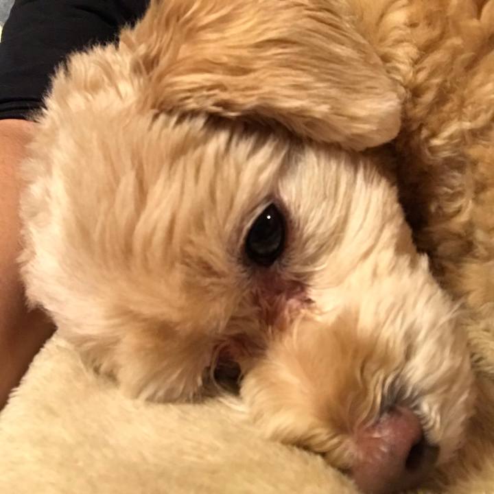 66e2f921 908e 4504 8086 3e255c734359 1572142162886