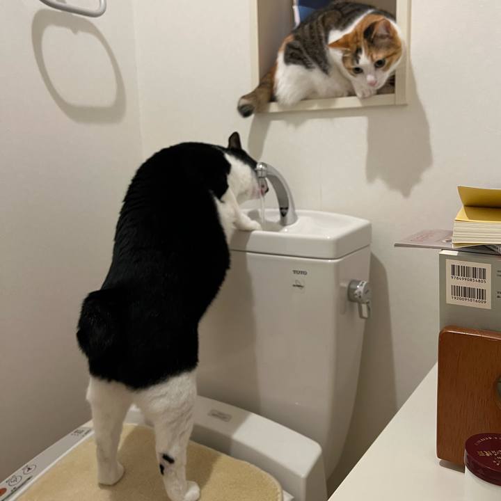 66e3027a 6dd3 456f af7f 6c341f3d2a9c 1763502595696