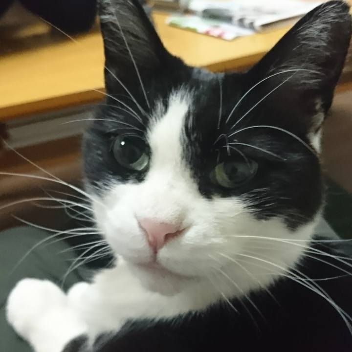 66e31797 5f05 4339 aab5 b37c2a7e10bb 1584091113363