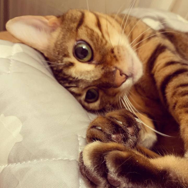 66e31dde 42aa 4200 a562 dac3106e382b 1569461709125