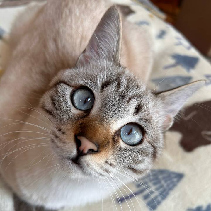 66e36b58 3443 49d4 a695 e06171e145ee 1737775494893