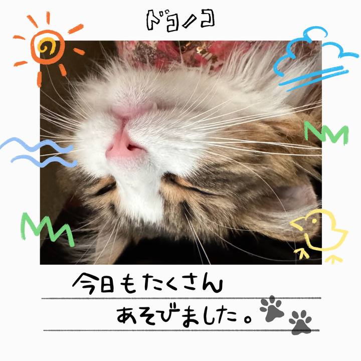 66e37096 c9da 41e9 a58d 0c197b70c7ea 1755474559837