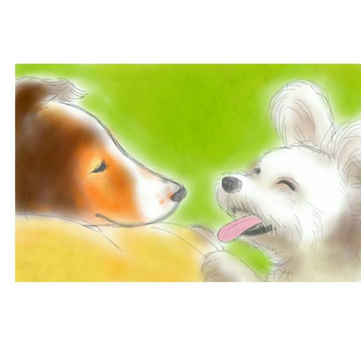 66e3c6a8 32df 4215 9190 1aa22170a0f1 1525139322017