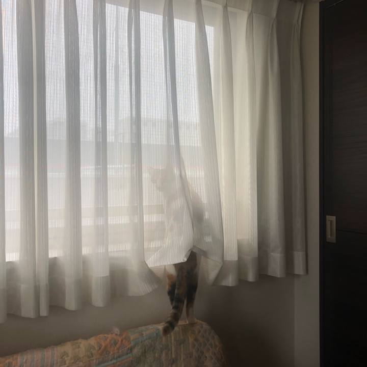 66e3e00e 3be6 4a8c 9e11 680eda235fb2 1590103916624