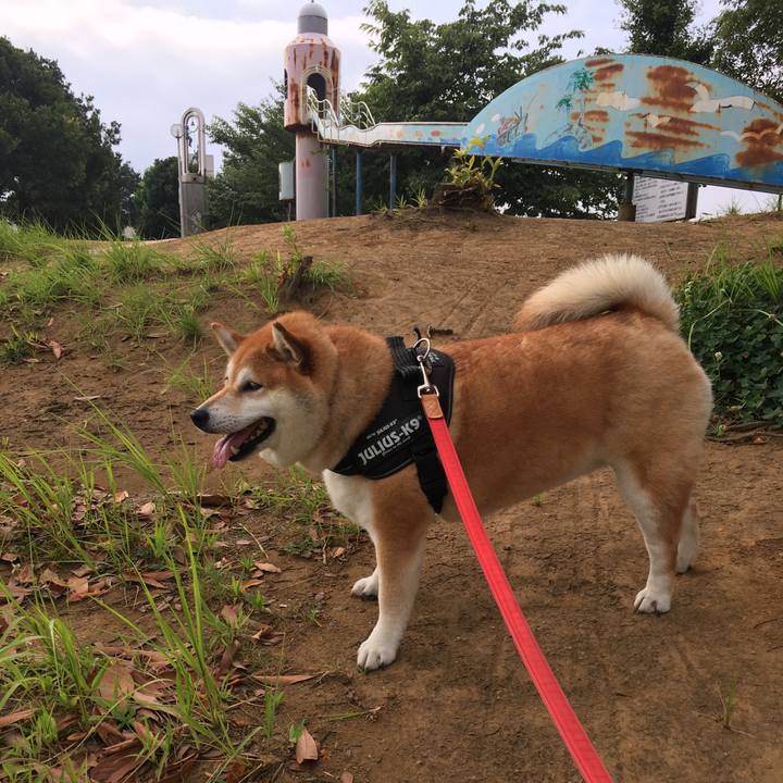 66e3e4bc 20d3 4ae6 91f2 3f1baf4a1fe5 1597450363855