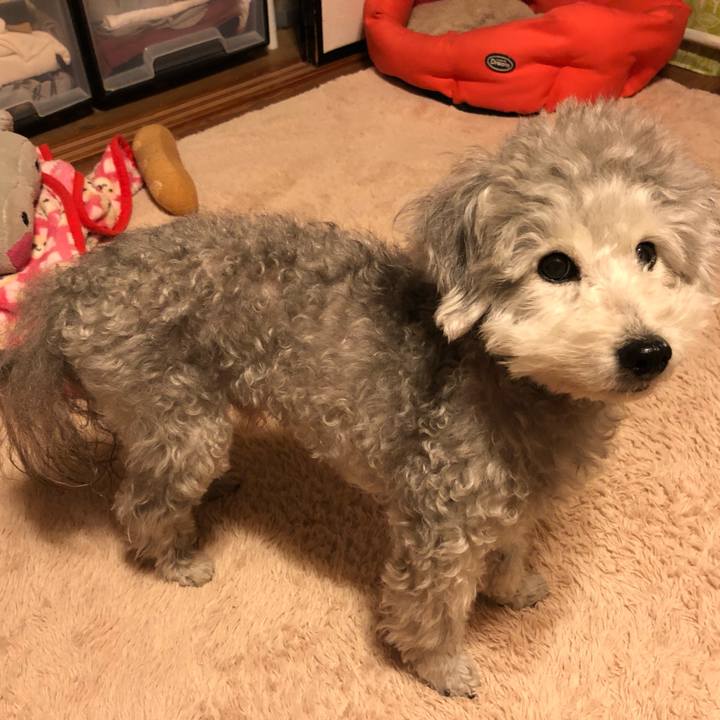 66e3eb48 61c3 4482 8f66 434eb8ec2e52 1551135938250