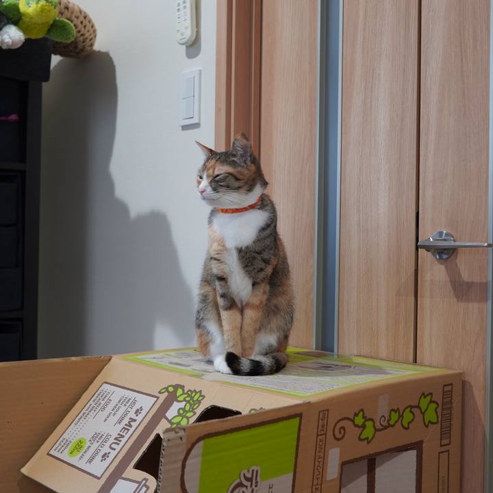 66e40617 2f24 44ff b194 ae778bd3f5ac 1609767965022