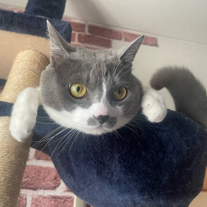 66e46034 65b9 48c3 a496 b02f2e6ab4ad 1673564274982